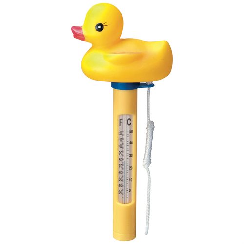 Pool Termometer Gummi And